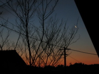 朝焼けの空に有明の月が見られるなんて、、、、。早起きは三文の徳でした。