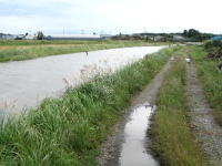 跡江のあたりは、しばしば小松川が氾濫して、被害が出ます。