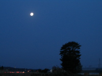 夕空にぽっかり、下弦の月。