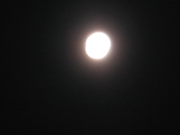 中秋の名月。きれいな、いい月が見られました。