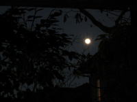 見上げると、月も寒々とした光を投げかけていた、、、。