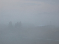 今朝は霧に包まれました。このあたりは、朝しばしば霧が出ます。