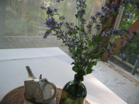 今ごろ良く見られる、紫の小さな花を段々につけた野草です。可愛いのですが、花の香はちょっと・・・・・・。
