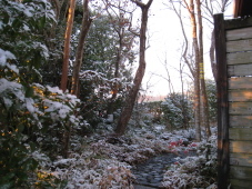 めったに見ることができない宮崎の雪景色です。